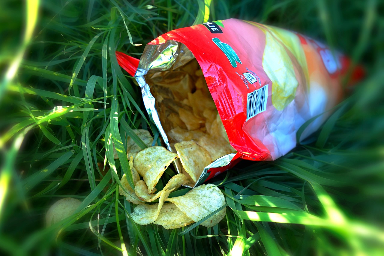 有机垃圾资源化  